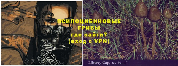 амф Володарск