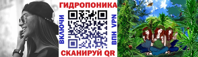 как найти наркотики  Канск  Канабис тримм 